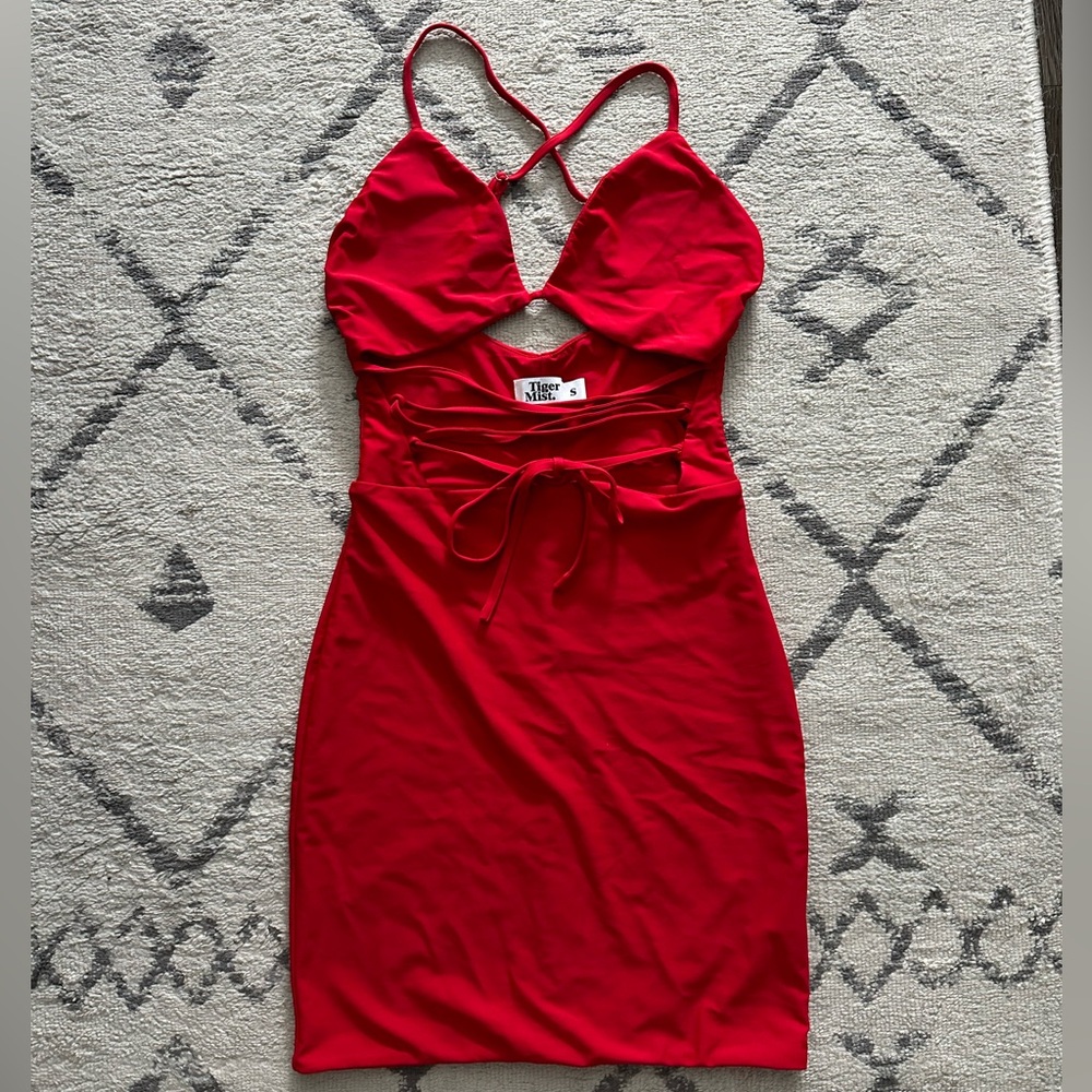 Tiger Mist Red Bodycon Dress